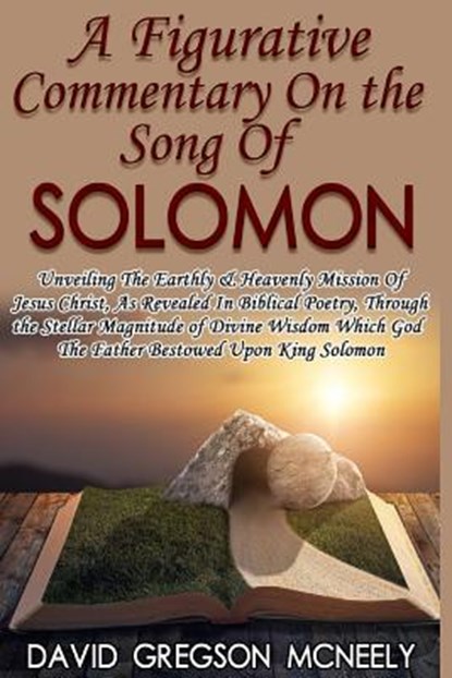 A Figurative Commentary On the Song Of Solomon, David McNeely - Paperback - 9781365778131