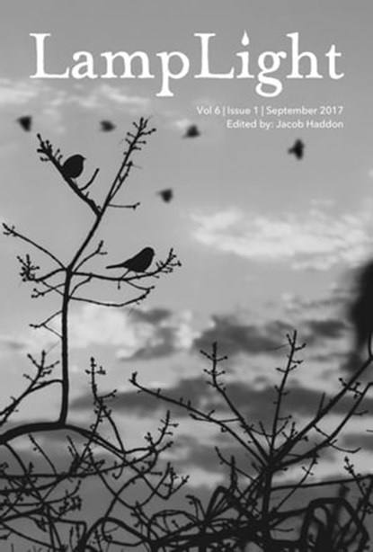 LampLight: Volume 6 Issue 1, Jacob Haddon - Ebook - 9781370170074
