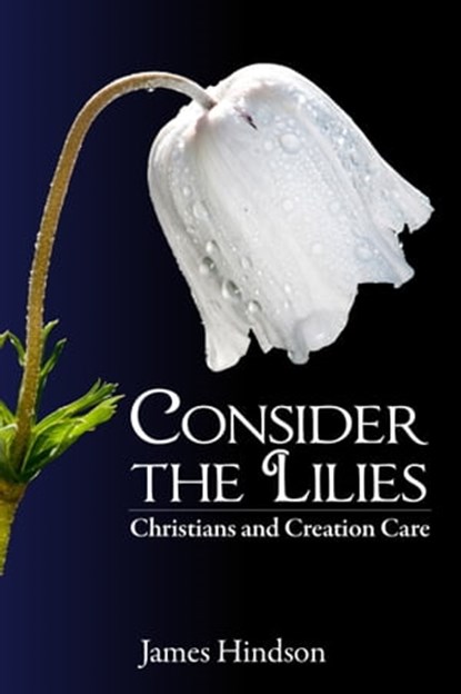 Consider the Lilies: Christians and Creation Care, James Hindson - Ebook - 9781370176144