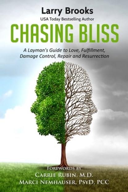 Chasing Bliss: A Layman's Guide to Love, Fulfillment, Damage Control, Repair and Resurrection, Larry Brooks - Ebook - 9781370210985