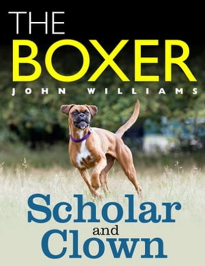The Boxer - Scholar and Clown, John Williams - Ebook - 9781370334193