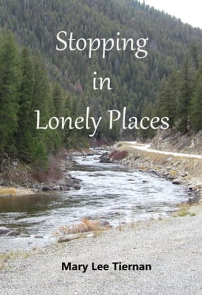 Stopping in Lonely Places, Mary Lee Tiernan - Ebook - 9781370527663