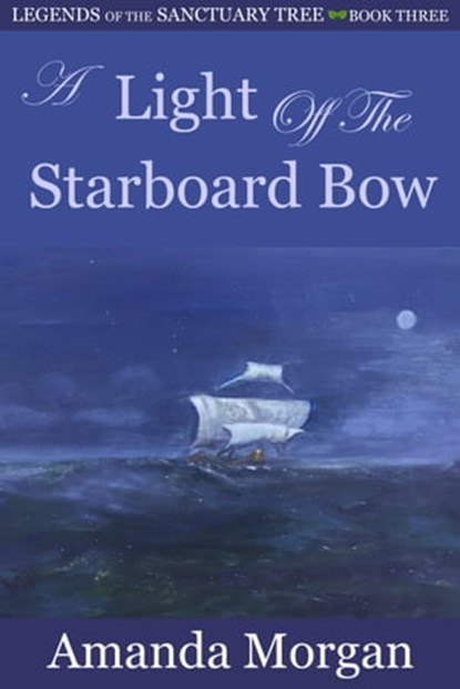 A Light Off the Starboard Bow, Amanda Morgan - Ebook - 9781370689378