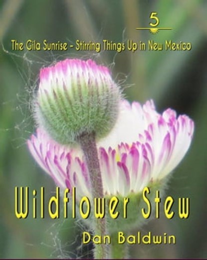 Wildflower Stew 5, Dan Baldwin - Ebook - 9781370896127