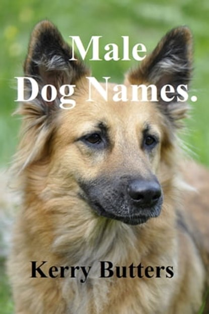 Male Dog Names., Kerry Butters - Ebook - 9781370903443