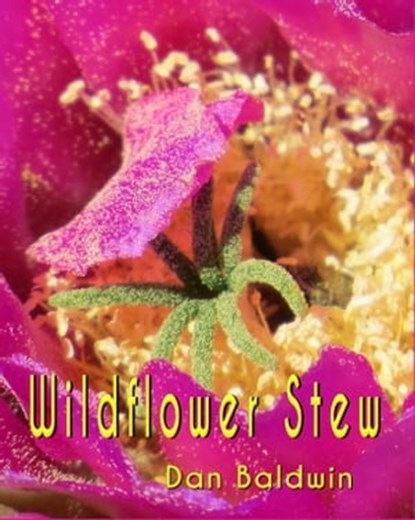 Wildflower Stew, Dan Baldwin - Ebook - 9781370943470