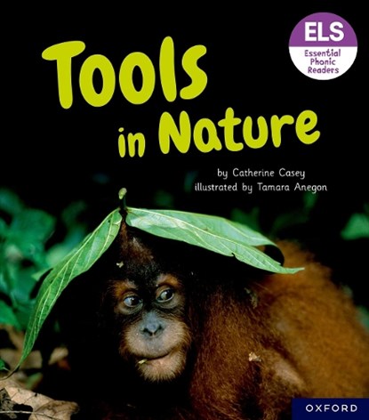 Essential Letters and Sounds: Essential Phonic Readers: Oxford Reading Level 6: Tools in Nature, Catherine Casey - Paperback - 9781382039277