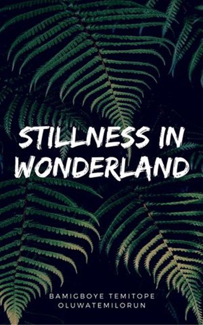 Stillness In Wonderland, Bamigboye Temitope Oluwatemilorun - Ebook - 9781386087151