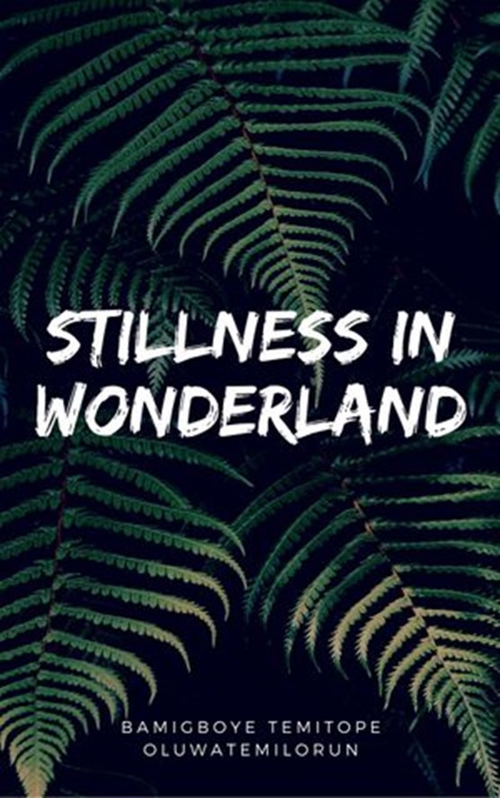 Stillness In Wonderland