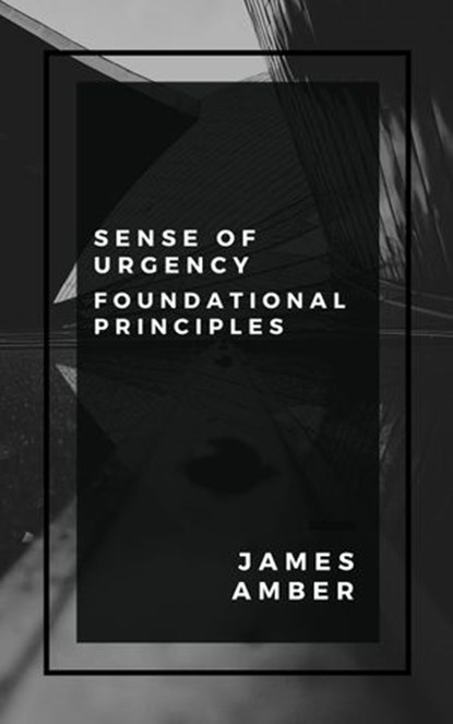 Sense of Urgency: Foundational Principles, James Amber - Ebook - 9781386089216