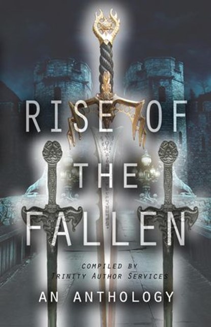 Rise of the Fallen - An Anthology, Bree Vanderland ; Bria Lexor ; Elizabeth Harrell ; A.M. Cummins ; A.R. Simmons ; K.D. Beers ; Ann Marie Wilson ; Allana Kephart ; Kerry Lee Holder ; Jean Booth ; C.R. Garmen ; Adrianna Davis - Ebook - 9781386124504