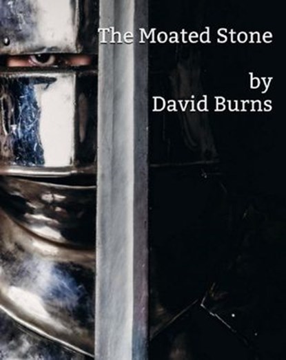 The Moated Stone, David Burns - Ebook - 9781386170907