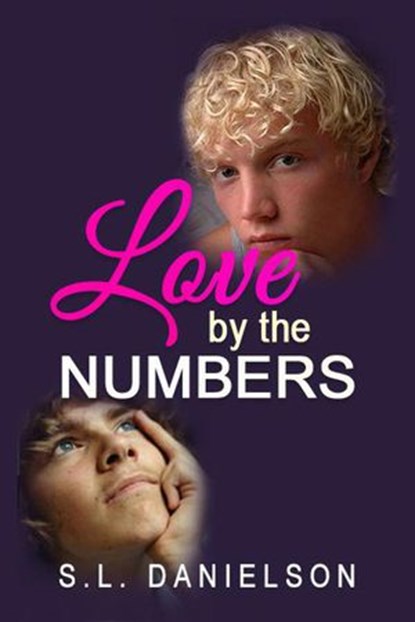 Love by the Numbers, S. L. Danielson - Ebook - 9781386181255