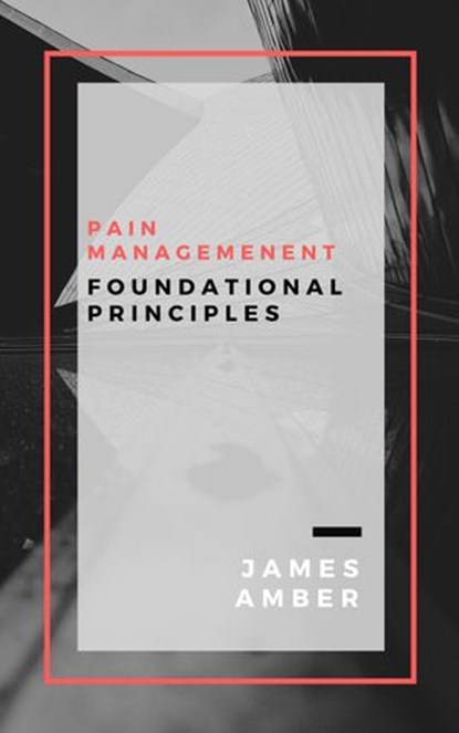 Pain Management: Foundational Principles, James Amber - Ebook - 9781386318682