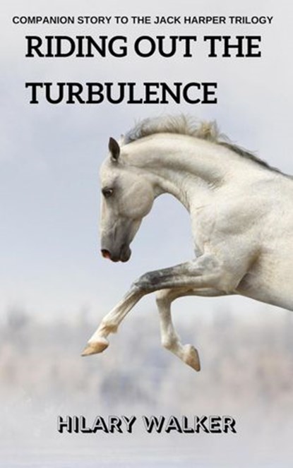 Riding Out the Turbulence, Hilary Walker - Ebook - 9781386350941