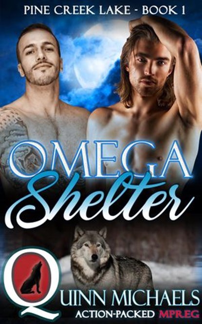 Omega Shelter, Quinn Michaels - Ebook - 9781386371281
