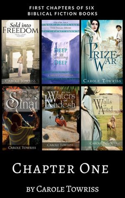 Chapter One, Carole Towriss - Ebook - 9781386434283