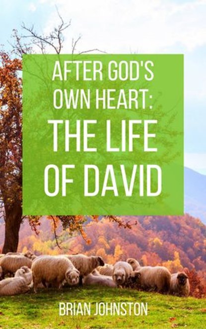After God's Own Heart : The Life of David, Brian Johnston - Ebook - 9781386496779
