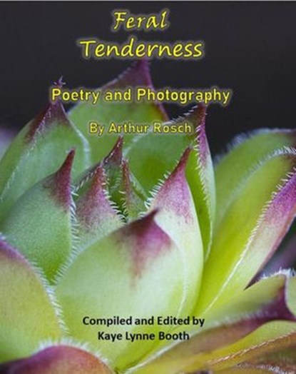 Feral Tenderness, Arthur Rosch - Ebook - 9781386605751