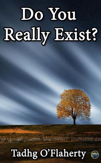 Do You Really Exist?, Tadhg O'Flaherty - Ebook - 9781386837015