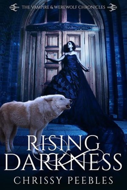 Rising Darkness, Chrissy Peebles - Ebook - 9781386877639