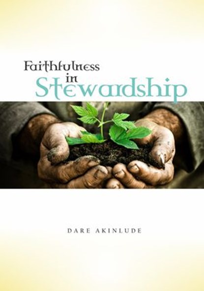 Faithfulness in Stewardship, Dare Akinlude - Ebook - 9781386925996