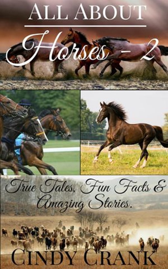 All About Horses -2