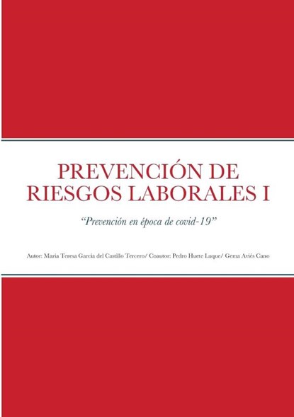PREVENCIÓN DE RIESGOS LABORALES I, María Tere Garcia Del Castillo Tercero - Paperback - 9781387117185