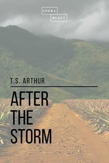 After the Storm, Sheba Blake ; T. S. Arthur - Ebook - 9781387268870