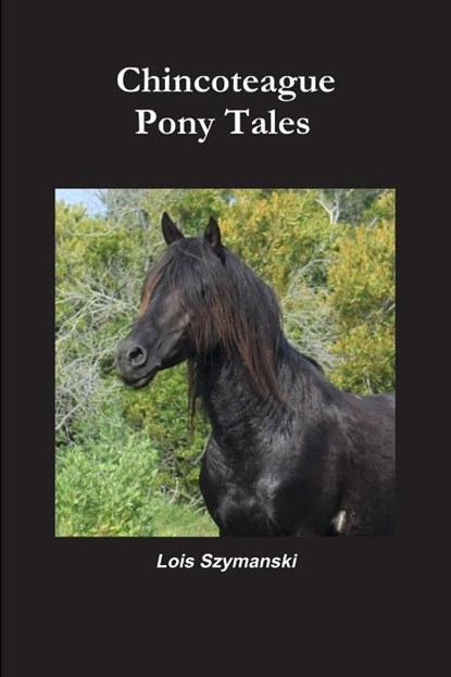 Chincoteague Pony Tales, Szymanski Lois Szymanski - Paperback - 9781387309320