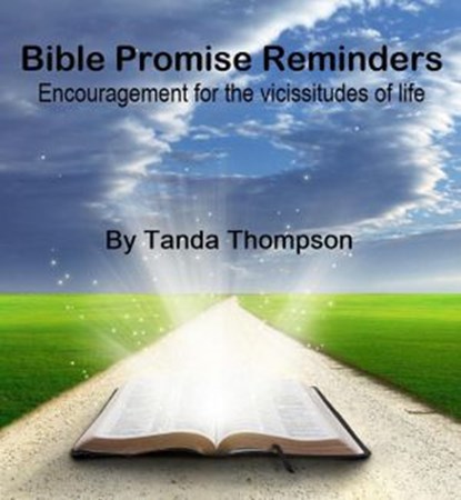 Bible Promise Reminders, Tanda Thompson - Ebook - 9781393126997