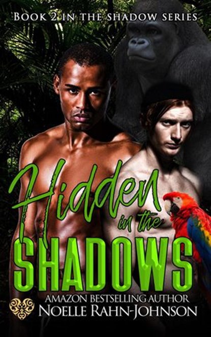 Hidden in the Shadows, Noelle Rahn-Johnson - Ebook - 9781393146940