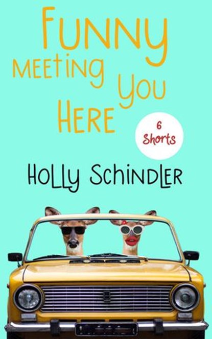 Funny Meeting You Here: 6 Shorts, Holly Schindler - Ebook - 9781393148463