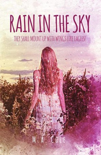Rain in the Sky, M. A. Cole - Ebook - 9781393162988