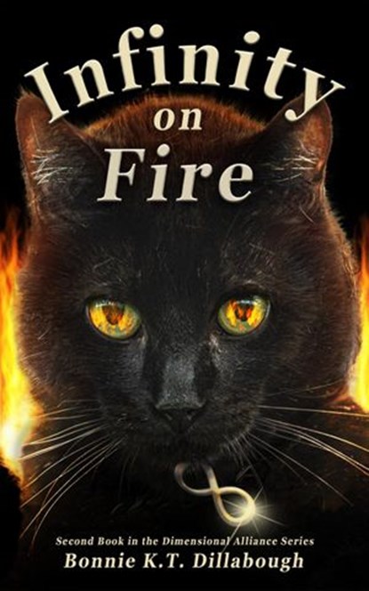 Infinity on Fire, Bonnie K.T. Dillabough - Ebook - 9781393248521