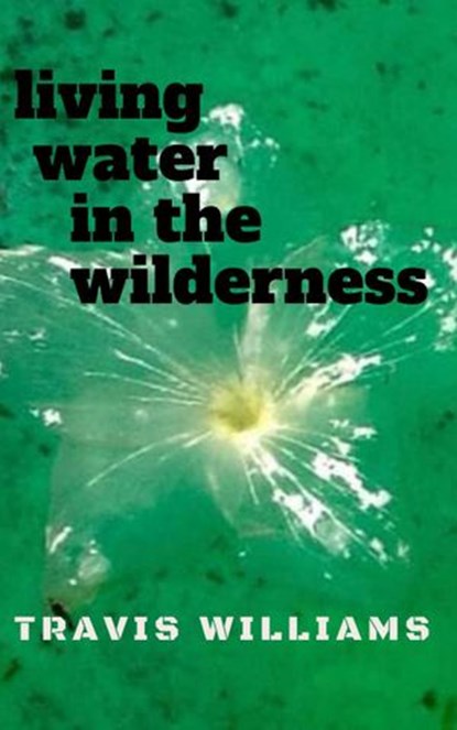 Living Water In The WIlderness, Travis Williams - Ebook - 9781393449355