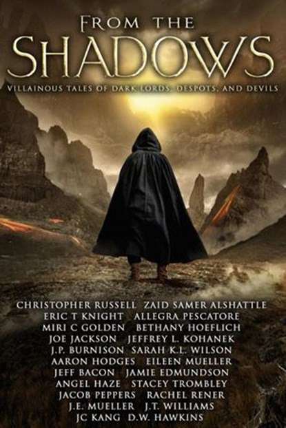 From the Shadows, Angel Haze ; JT Williams ; Jeffrey L. Kohanek ; Sarah K.L. Wilson ; Aaron Hodges ; Joe Jackson ; D.W. Hawkins ; Jacob Peppers ; Bethany Hoeflich ; Eric T Knight ; JC Kang ; Rachel Rener ; Eileen Mueller ; Jamie Edmundson ; Stacey Trombley ; Christopher Ru - Ebook - 9781393492382