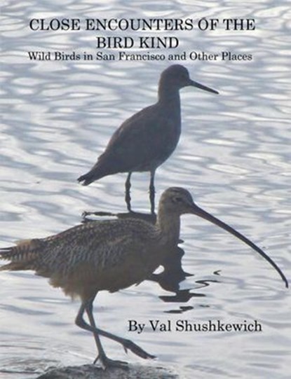 Close Encounters of the Bird Kind: Wild Birds in San Francisco and Other Places, Val Shushkewich - Ebook - 9781393709527