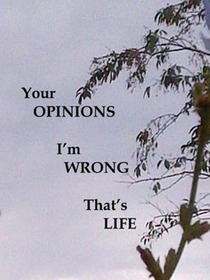 Your Opinions I'm Wrong That's Life, James Greene - Ebook - 9781393808190