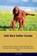 Irish Red Setter Guide Irish Red Setter Guide Includes, David Martin - Paperback - 9781395860899
