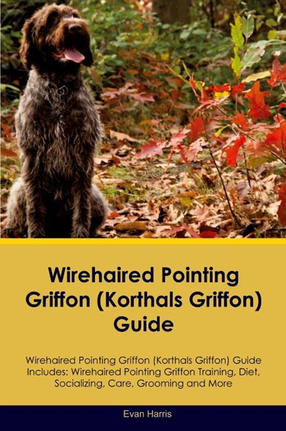 Wirehaired Pointing Griffon (Korthals Griffon) Guide Wirehaired Pointing Griffon Guide Includes, Evan Harris - Paperback - 9781395862459