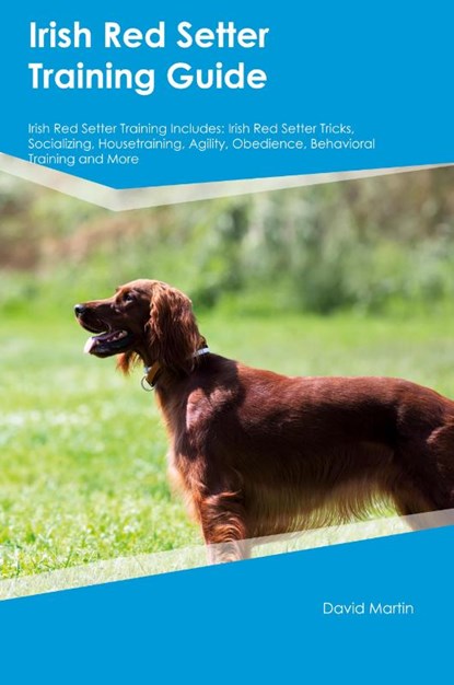 Irish Red Setter Training Guide Irish Red Setter Training Includes, David Martin - Paperback - 9781395864491