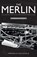 The Merlin, Gordon A. A. Wilson - Paperback - 9781398103252