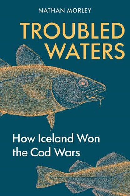 Troubled Waters, Nathan Morley - Gebonden - 9781398127548