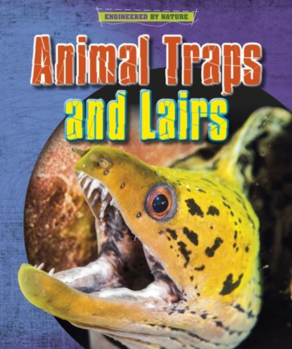 Animal Traps and Lairs, Louise Spilsbury ; Richard Spilsbury - Paperback - 9781398200593
