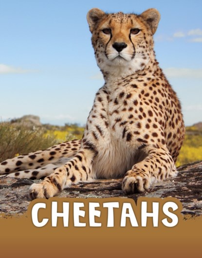 Cheetahs, Jaclyn Jaycox - Gebonden - 9781398202412