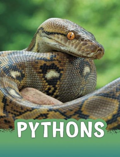 Pythons, Martha E. H. Rustad - Paperback - 9781398202474