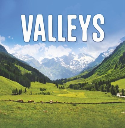 Valleys, AMSTUTZ,  Lisa J. - Paperback - 9781398202818