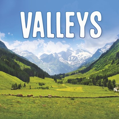Valleys, Lisa J. Amstutz - Gebonden - 9781398202825