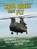 Cool Rides that Fly, Tammy Gagne - Paperback - 9781398203495